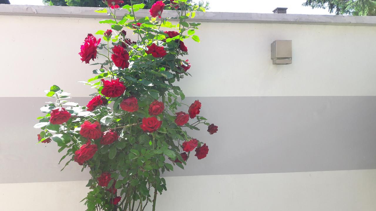 Dr Apartment Novi Sad Dış mekan fotoğraf